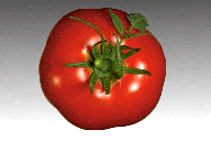 pomodoro3